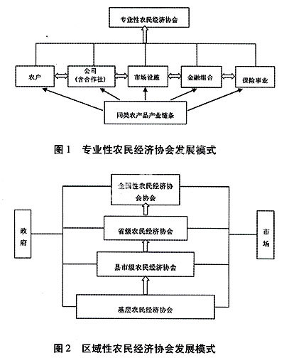 农村GDP指_农村房子图片(2)